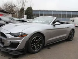 Silber Gebraucht 2019 Ford Mustang Cabrio | 26.800 € (Guter Preis)