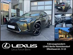 Norigrün metallic (6x4) Gebraucht 2021 Lexus UX 250h SUV | 26.950 € (Fairer Preis)