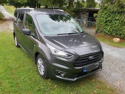 Grau Gebraucht 2019 Ford Transit Trend Van / Kleinbus | 18.400 € (Etwas zu teuer)