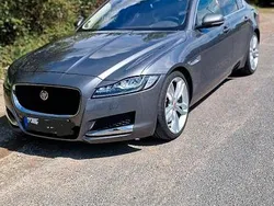Grau Gebraucht 2015 Jaguar XF Portfolio Limousine | 17.499 € (Fairer Preis)