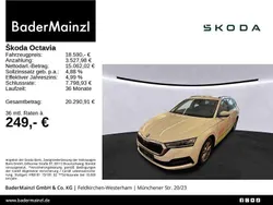 Weiß Gebraucht 2021 Skoda Octavia Ambition Kombi | 18.590 € (Guter Preis)