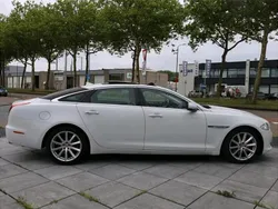 Weiß Gebraucht 2014 Jaguar XJL Portfolio Limousine | 16.950 €