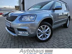 Silber Gebraucht 2016 Skoda Yeti Joy SUV | 16.990 € (Etwas zu teuer)