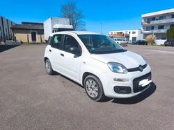 Weiß Gebraucht 2016 Fiat Panda Easy Kleinwagen | 6.000 € (Fairer Preis)