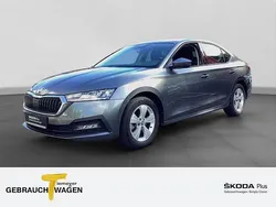 Grau Gebraucht 2024 Skoda Octavia Selection Limousine | 24.880 € (Superpreis)