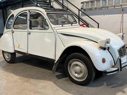 Weiß Gebraucht 1984 Citroën 2CV Limousine | 2.500 €