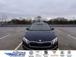 Schwarzmagic perleffekt Gebraucht 2025 Skoda Octavia Selection Kombi | 33.900 € (Guter Preis)