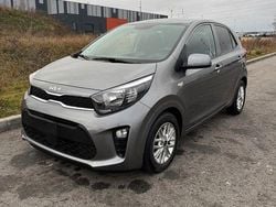 Grau Gebraucht 2021 Kia Picanto DREAM-TEAM Edition Kleinwagen | 8.850 € (Superpreis)