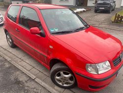 Rot Gebraucht 2000 VW Polo Kleinwagen | 1.350 € (Guter Preis)