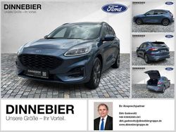 Blau Gebraucht 2024 Ford Kuga ST-Line X SUV | 32.880 € (Superpreis)