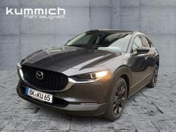 Grau Gebraucht 2024 Mazda CX-30 Homura-Line SUV | 28.989 €