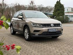 Beige Gebraucht 2019 VW Tiguan Comfortline SUV | 21.500 € (Fairer Preis)