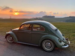 Grün Gebraucht 1961 VW Käfer Limousine | 25.000 €