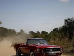 Rot Gebraucht 1967 Ford Mustang Cabrio | 52.900 €