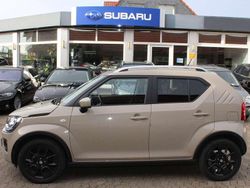 Caravan ivory Gebraucht 2023 Suzuki Ignis Comfort Kleinwagen | 16.490 € (Fairer Preis)