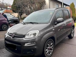 Grau Gebraucht 2020 Fiat Panda Kleinwagen | 9.999 €