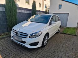 Weiß Gebraucht 2019 Mercedes B220 Ambition Van / Kleinbus | 13.800 €
