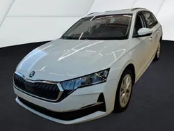 Weiss Gebraucht 2024 Skoda Octavia Selection Kombi | 32.989 € (Teuer)