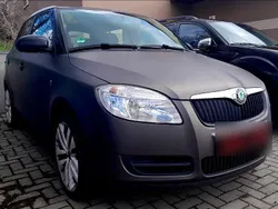 Beige Gebraucht 2009 Skoda Fabia Cool Edition Kleinwagen | 3.995 € (Teuer)