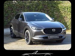Neu 2025 Mazda CX-30 Homura-Line SUV | 29.500 €