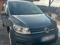 Grau Gebraucht 2020 VW Caddy Maxi Van / Kleinbus | 12.500 €