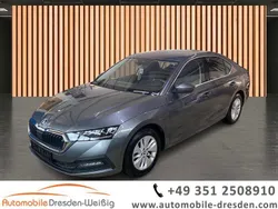 Grau Gebraucht 2023 Skoda Octavia Ambition Limousine | 18.980 € (Guter Preis)