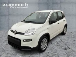 Weiß Neu 2024 Fiat Panda Kleinwagen | 16.590 €