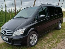 Mercedes Viano