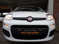 Weiß Gebraucht 2020 Fiat Panda Easy Kleinwagen | 9.900 € (Fairer Preis)