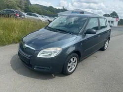 Grau Gebraucht 2009 Skoda Fabia Limousine | 2.250 € (Guter Preis)
