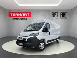 Weiss (pastell)) (weiss Neu 2025 Fiat Ducato Van | 38.065 € (Teuer)