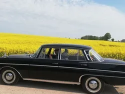 Blau Gebraucht 1964 Mercedes W111 Limousine | 26.950 €