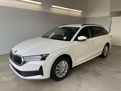 [9p9p] candy white Neu 2025 Skoda Octavia Essence Kombi | 30.080 € (Guter Preis)