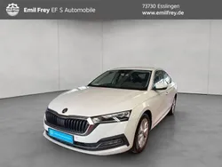 Weiß Gebraucht 2020 Skoda Octavia First Edition Limousine | 18.890 € (Etwas zu teuer)