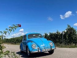 Blau Gebraucht 1969 VW Käfer Kleinwagen | 14.800 €