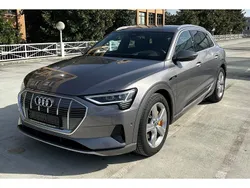Taifungrau (metallic) Gebraucht 2020 Audi 50 Advanced Kleinwagen | 29.899 € (Fairer Preis)