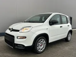 Weiß Gebraucht 2023 Fiat Panda Kleinwagen | 11.290 €
