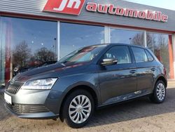 Grau Gebraucht 2019 Skoda Fabia Cool Plus Limousine | 11.480 € (Etwas zu teuer)