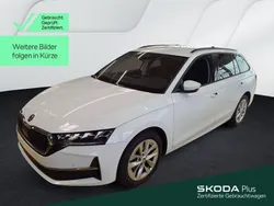 Weiß Gebraucht 2024 Skoda Octavia Selection Kombi | 28.249 € (Guter Preis)