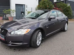 Grau Gebraucht 2009 Jaguar XF Luxury Limousine | 4.990 € (Superpreis)