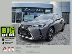 Basaltgrau mica Gebraucht 2021 Lexus UX 250h SUV | 24.990 € (Guter Preis)