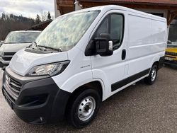 Weiß Gebraucht 2019 Fiat Ducato Van | 15.999 € (Superpreis)