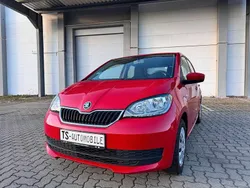 Rot Gebraucht 2019 Skoda Citigo Ambition Kleinwagen | 8.490 € (Fairer Preis)