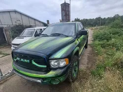 Grün Gebraucht 2002 Dodge Ram Abholung | 11.500 € (Teuer)