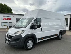 Weiß Gebraucht 2016 Fiat Ducato Van | 14.490 € (Teuer)