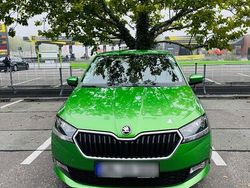Grün Gebraucht 2020 Skoda Fabia Active Kleinwagen | 10.800 € (Teuer)