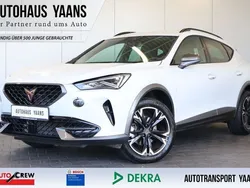 Weiß Gebraucht 2023 Cupra Formentor SUV | 24.879 € (Superpreis)