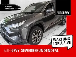 Grau Neu 2025 Toyota RAV4 Hybrid SUV | 44.359 € (Fairer Preis)