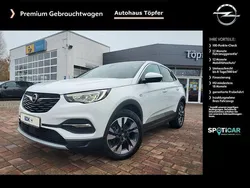 Weiß Gebraucht 2020 Opel Grandland X Innovation SUV | 21.450 € (Fairer Preis)