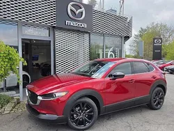 Neu 2025 Mazda CX-30 Homura-Line SUV | 32.490 €